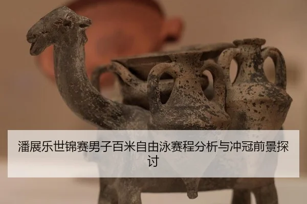 pan-zhan-le-shi-jin-sai-nan-zi-bai-mi-zi-you-yong-sai-cheng-fen-xi-yu-chong-guan-qian-jing-tan-tao-2-860.jpg